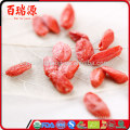 Goji Beeren usos y beneficios Goji Beeren Gebärmutterschleimhaut Goji Beeren Gebärmutter